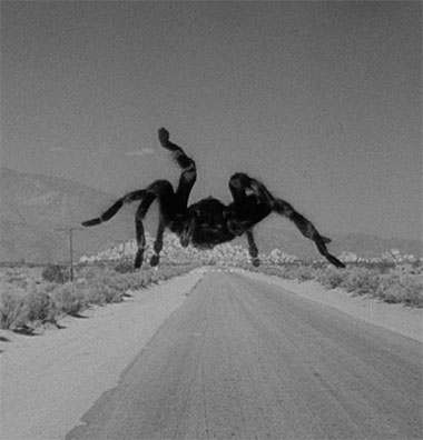 020914_spider_dreams.jpg