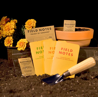 031210_fieldnotes_spring.jpg