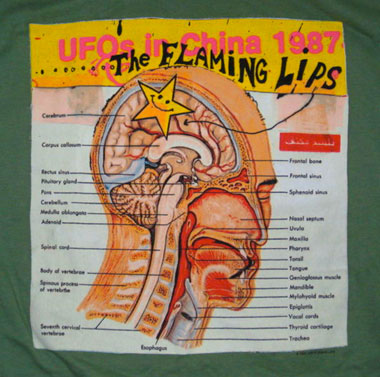 073111_flaming_lips_1994.jpg