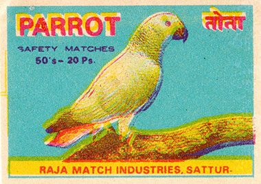 080414_parrot.jpg