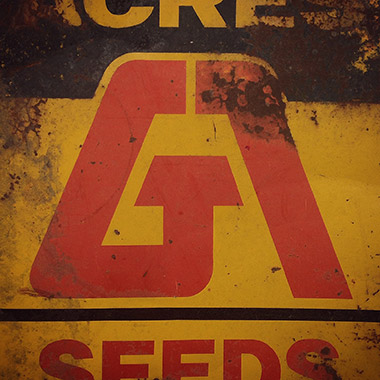 081014_ga_seeds.jpg