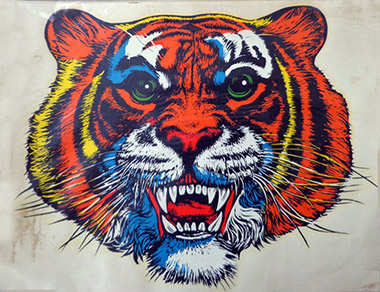 082014_tiger.jpg