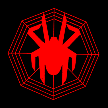 111211_spider.gif